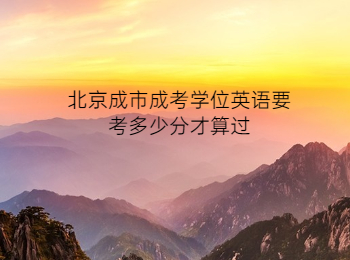 北京成市成人高考學(xué)位英語(yǔ)
