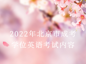 北京市成考學(xué)位英語(yǔ)考試內容
